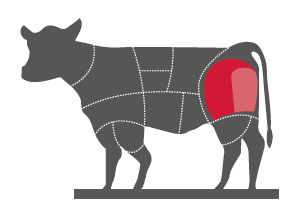 mucca